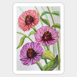 Zinnia  Flowers Watercolor Painting Sticker